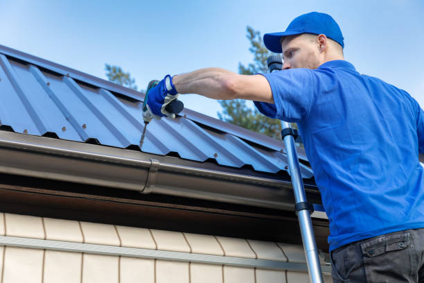 Best Roof Moss and Algae Removal  in Edgewood, TX