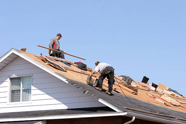 Best Gutter Replacement  in Edgewood, TX